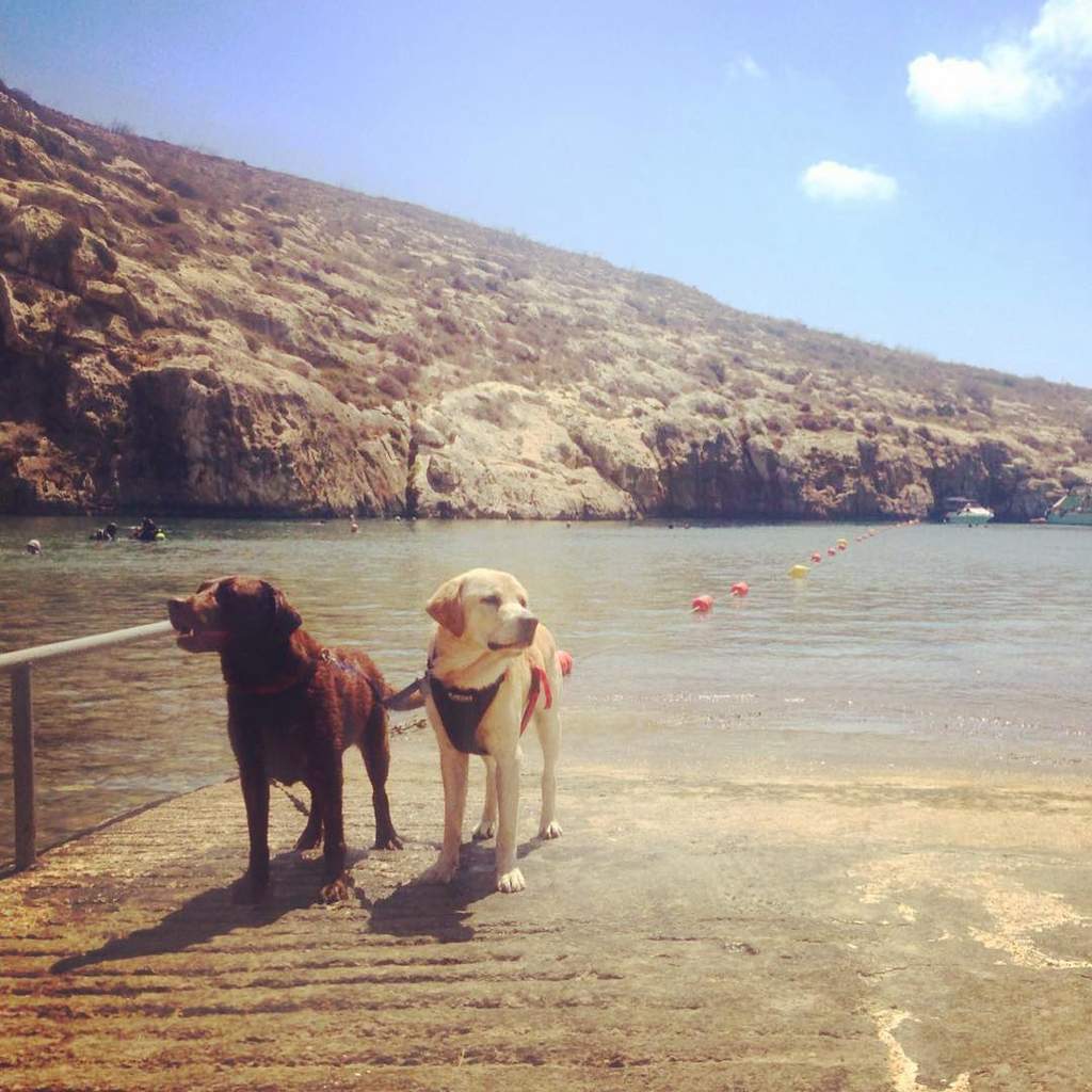 Mġarr ix-Xini beach, Gozo