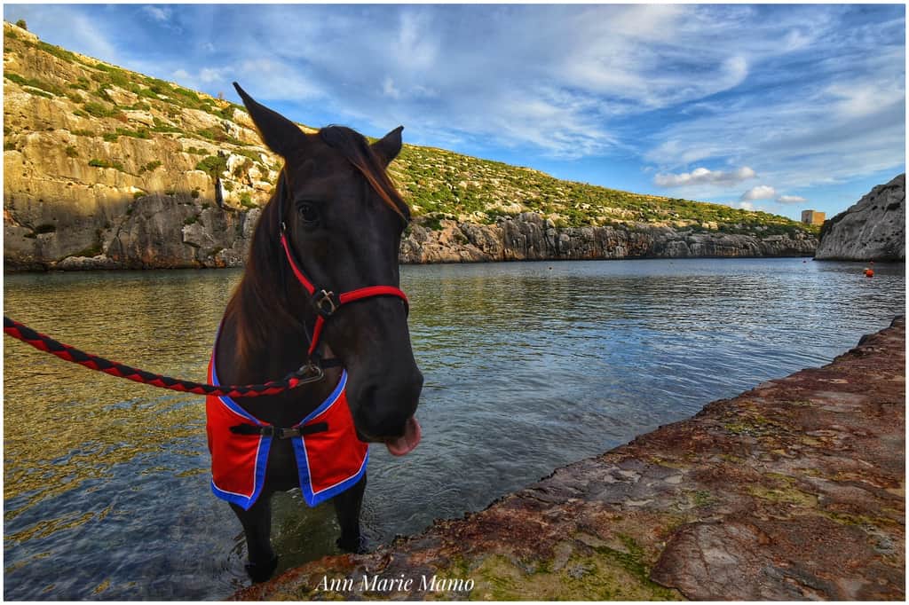 Mġarr ix-Xini inlet, Gozo