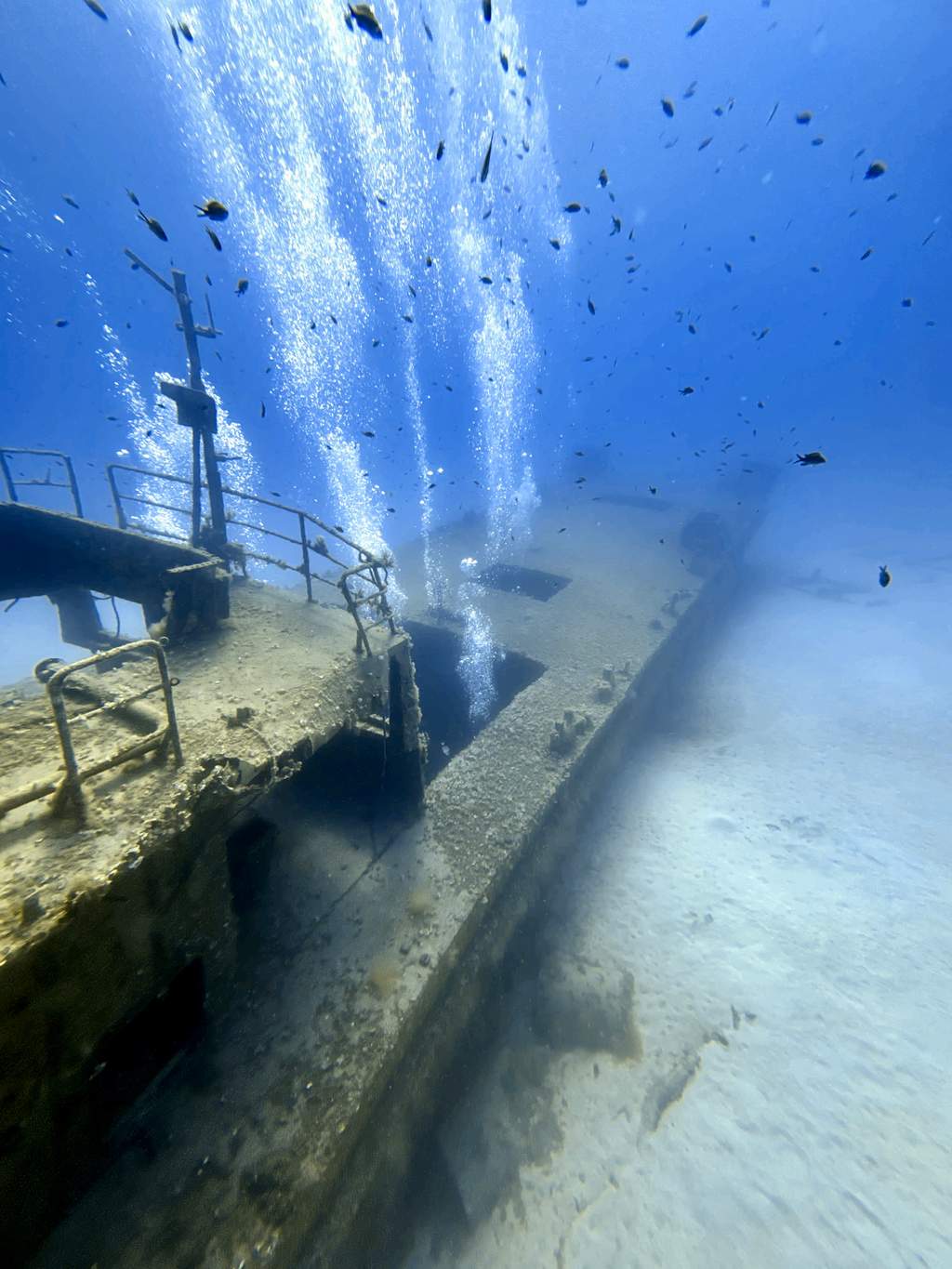 The P31 patrol boat wreck, Malta